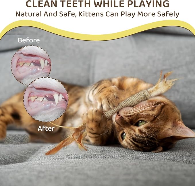 Catnip for Cats,Interactive Silvervine Sticks for Cats, Loofah Chew Cat Toys for Indoor Cats & Kitten Teething Toys & Cat Chew Toy,6 Pack-Mewly Pet