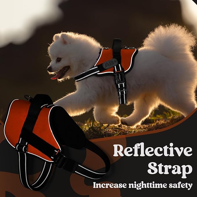rabbitgoo Dog Harness for Large, Easy On Pet Vest with One Buckle, No Pull Adjustable Service Harness with D-Ring & Handle, Reflective for Safety Walking, Training, Orange, L-Mewly Pet