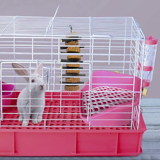 PINVNBY Rabbit Chew Toys for Teeth Hanging,Natural Apple Bunny Chew Sticks Small Animals Molar Wood for Rabbits Chinchillas Guinea Pigs Hamsters Small Pet Chewing Improve Dental Health(4 Pcs)-Mewly Pet