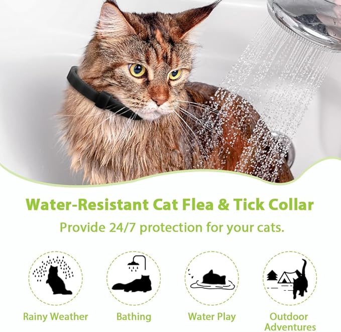 4 Pack Flea and Tick Collar for Cats, Natural Plant Oil Formula Cat Flea Collar Provides 32-Month Protection for Flea Tick Prevention, Waterproof & Adjustable Cat Flea Treatment for Most Cats-Mewly Pet