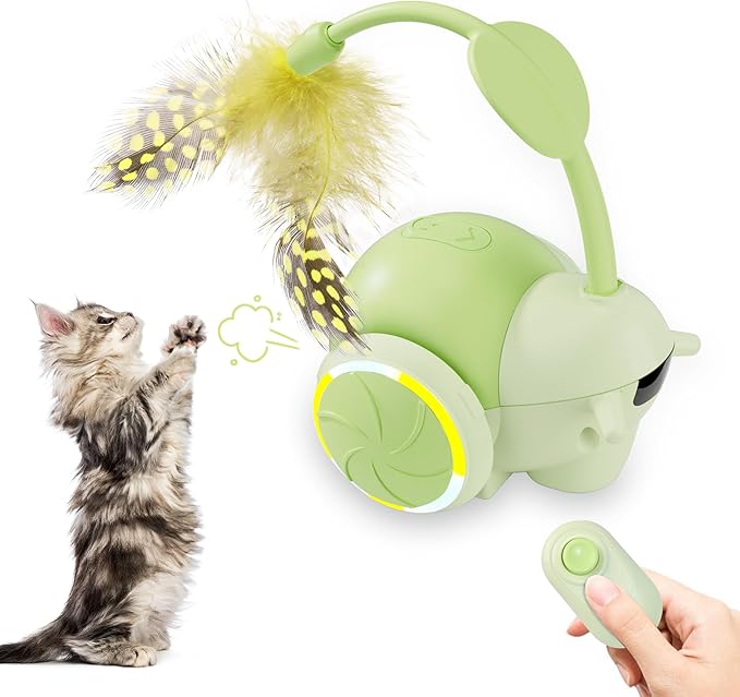 Cat Toys for Bored Indoor Adult Cats,Remote Control Cat Toy with 4 Directions,LED Lights Interactive Remote Control Dog Toy (Green)-Mewly Pet