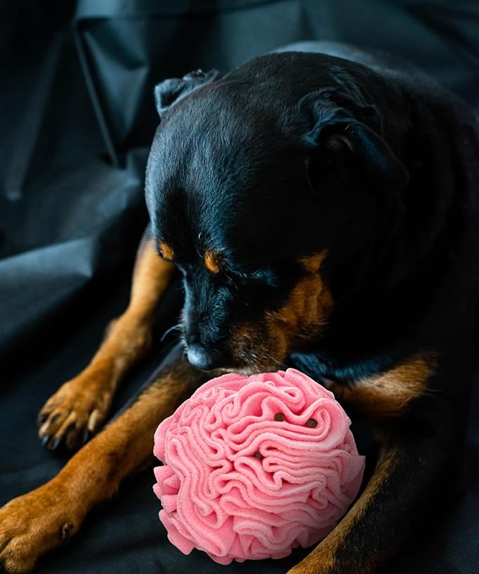 Medium Breed Snuffle Interactive Foraging Dog Puzzle Ball Toy Pink Large-Mewly Pet