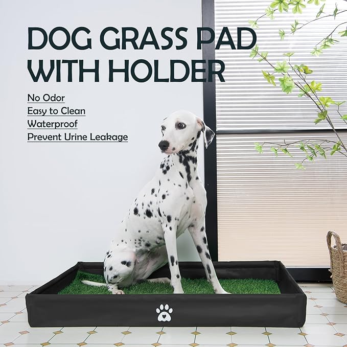 MEEXPAWS Dog Grass Pad with Foldable Dog Litter Box, Small Pee Pad Holder Foldable Liner Base High Side with Odor Free Artificial Grass for Puppy Potty Training Balcony, 2 PCS Reusable Pee Pads-Mewly Pet