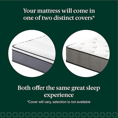 ZINUS 10 Inch True Support Hybrid Mattress [New Version], Queen, Fiberglass Free, Medium Feel, Motion Isolation, Certified Safe Foams & Fabric, Mattress in A Box
