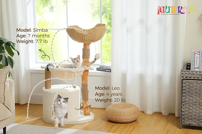 Modern Cat Tree for Large Cats, Wood Cat Tower for Indoor Cats, Real Branch Luxury Cat Furniture with Super Large Cozy Condo and Hammock & Scratching Post, Top Basket, White-Mewly Pet