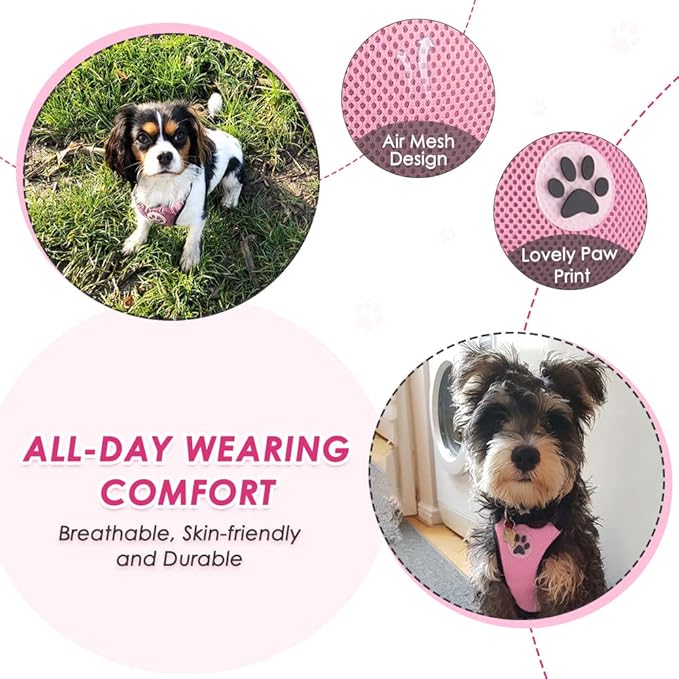 SlowTon Dog Seat Belt Harness for Car, Dog Car Harness Adjustable Mesh Breathable & Dog Seatbelt Safety Tether with Elastic Bungee for Small Medium Large Pets(Pink, Single Clip, S)-Mewly Pet