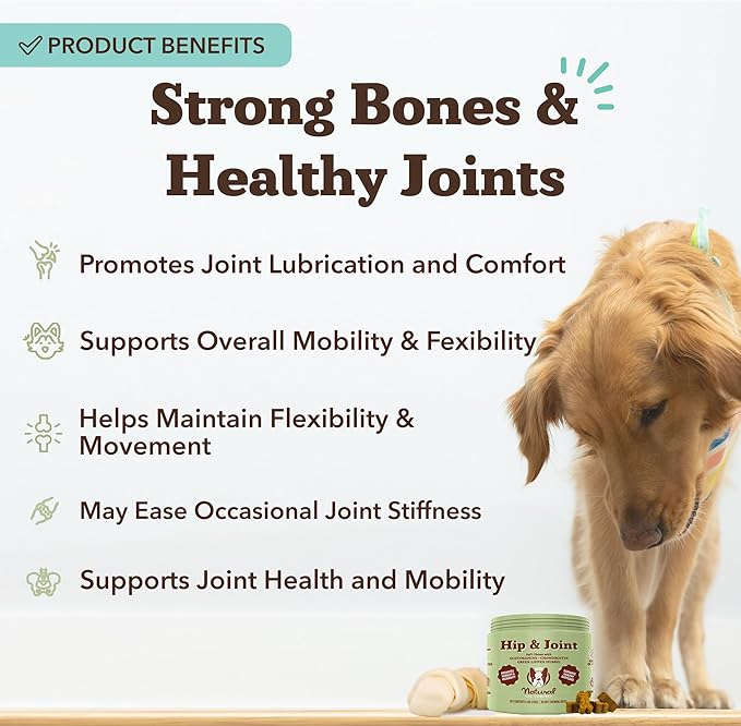Natural Dog Company Hip & Joint Chews, Chicken Liver & Turmeric Flavor, with Glucosamine Chondroitin for Dogs, Maintains Bone and Joint Health, Supplements for Seniors and Puppies, 90 Count-Mewly Pet