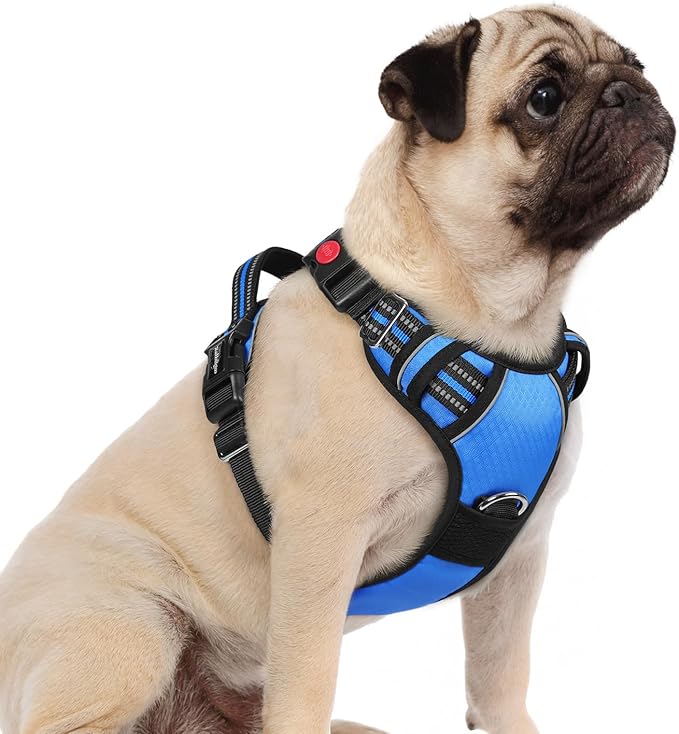 rabbitgoo Dog Harness Small Sized, No Pull Dog Vest with 3 Buckles, Adjustable Soft Padded Pet Harness with Easy Control Handle and Reflective Strips, Blue, S-Mewly Pet
