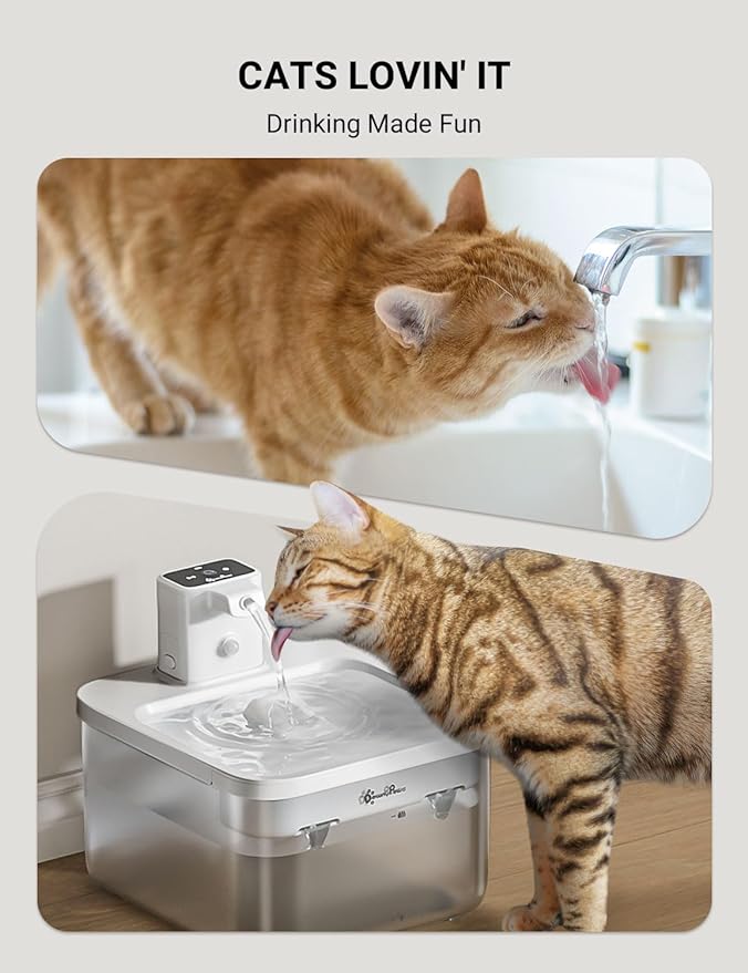DownyPaws Battery Operated Cat Water Fountain, 84oz/2.5L Fursink Wireless Pet Water Fountain for Cats Inside, Automatic Dog Water Dispenser with Motion Sensor, Ultra Quiet Pump, BPA-Free, White-Mewly Pet