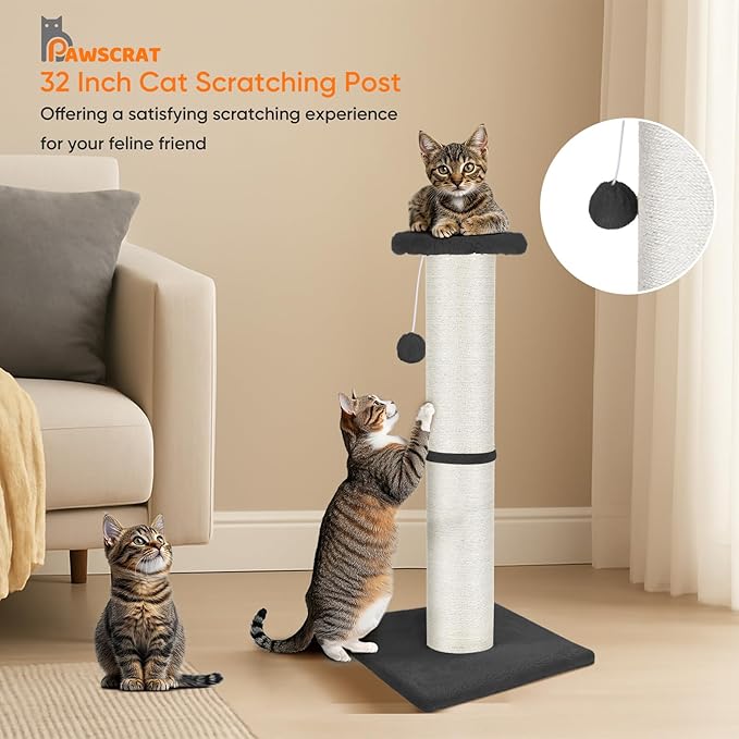 PAWSCRAT Cat Scratching Post 32" Tall, Large Diameter Natural Sisal Cat Scratch Post with Dangling Ball, Scratch-Resistant and Durable Tall Cat Scratcher for Indoor Cats, Protect Your Furniture, Grey-Mewly Pet