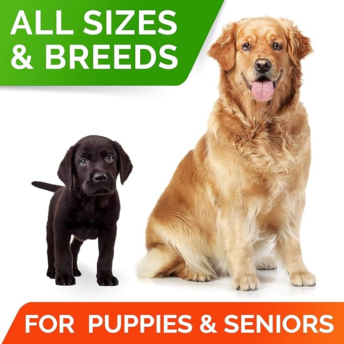 StrellaLab Dog Probiotics Treats for Picky Eaters - Digestive Enzymes + Prebiotics - Chewable Fiber Supplement - Allergy, Diarrhea, Gas, Constipation, Upset Stomach Relief - Improve Digestion&Immunit-Mewly Pet