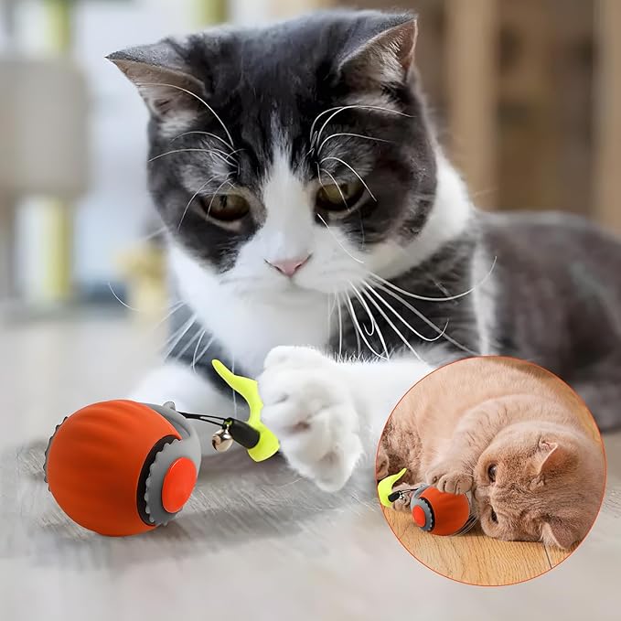 Speedy 3.0 Ball, Smart Interactive Cat Toy Balls, Automatic Rolling Ball 2.0 Enrichment Toy, with Tail Two Speed Adjustment (Orange + Blue)-Mewly Pet
