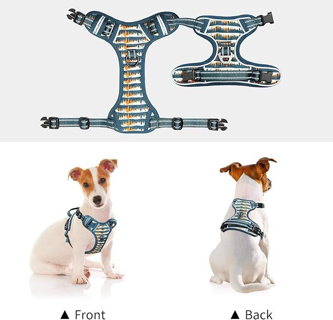 Timos Dog Harness, 3 Snap Buckles No-Pull Soft Padded Dog Vest with 2 Metal Leash Clips, Adjustable Reflective No Choke Pet Harness with Easy Control Handle for Small Dogs, Sunset Valley, S-Mewly Pet