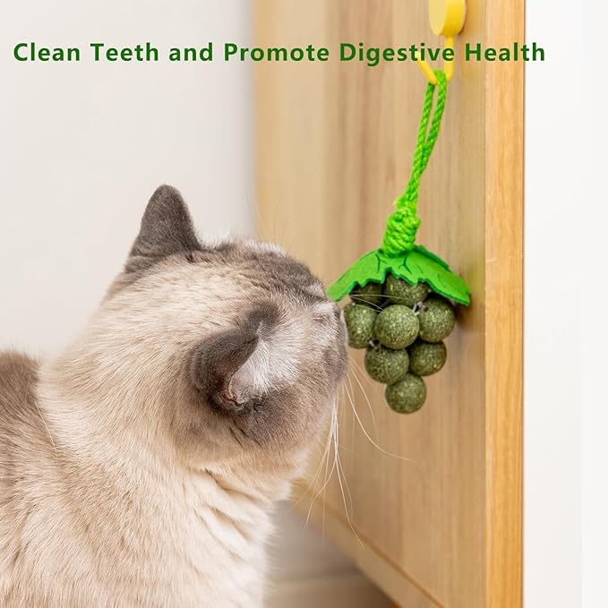 Cat Catnip Toys,2Pcs Catnip Ball for Cats,Toys for Indoor Cats,Cat Chew Exercise Toy for All Breeds and Species,Enhances Oral and Dental Health-Mewly Pet