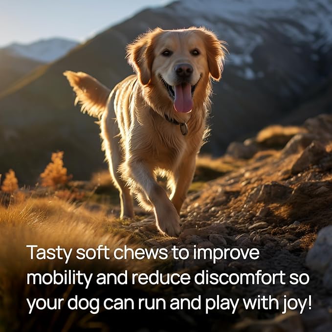 pawTree Joint & Hip Support Supplement for Dogs with Glucosamine, Chondroitin, MSM, Tumeric & Green Lipped Mussels - Vitamins, Supplements & Health Essentials - All-Natural Mobility Soft Chews-Mewly Pet