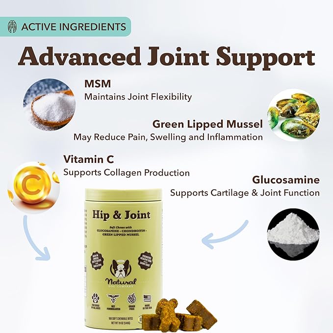 Natural Dog Company Hip & Joint Chews for Dogs with Glucosamine for Dogs + Chondroitin, MSM & Turmeric, Supports Mobility & Reduces Discomfort, Stiffness, Natural Pain Relief Joint Supplement. 180 Ct-Mewly Pet