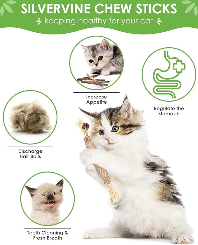 Silvervine Chew Sticks for Cats, 10 Pack Natural Catnip Chew Toys for Kittens Teeth Cleaning, Matatabi Dental Care, Increase Appetite, Calm Cat Anxiety and Stress, Aggressive Chewers Cat Dental Toy-Mewly Pet