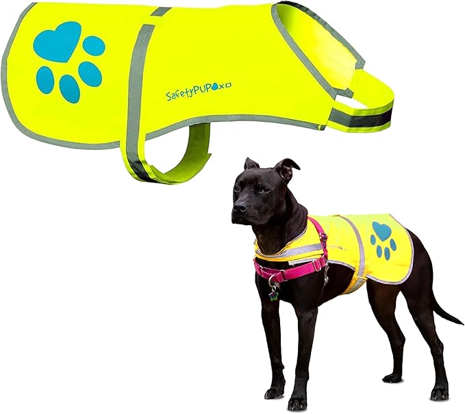 Dog Reflective Vest – Hi-Vis Fluorescent Visibility That Helps to Safeguard Your Pet On/Off Leash in Urban & Rural Areas (Yellow, Medium)-Mewly Pet
