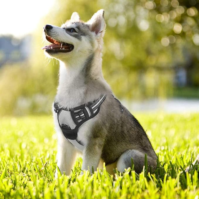rabbitgoo Dog Harness No Pull with 2 Leash Clips, Adjustable Soft Padded, Reflective Oxford No Choke Pet Vest with Easy Control Handle for Small Dogs, Grey, S-Mewly Pet