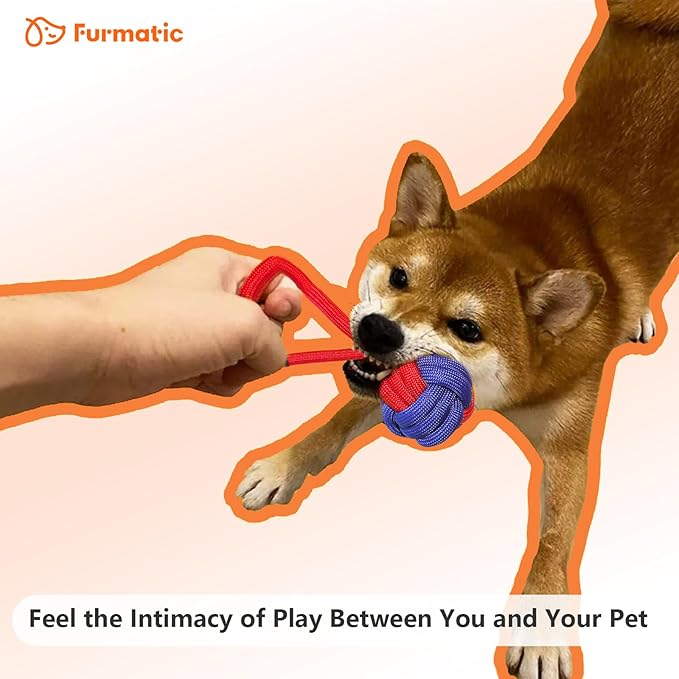 Rope Dog Toys for Small and Medium Dogs | Dog Toys for Aggressive Chewers | Dog Tug of War Toy for Interaction and Teeth Cleaning, Set of 3 Ropes-Mewly Pet