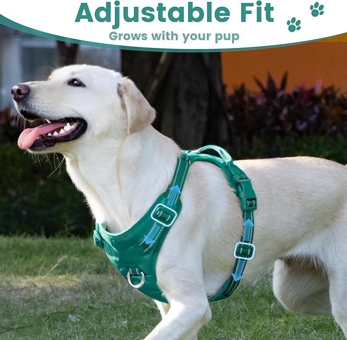 No Pull Dog Harness, Reflective Puppy Vest for Small Medium Large Sized Dog(MARRS Green,S)-Mewly Pet