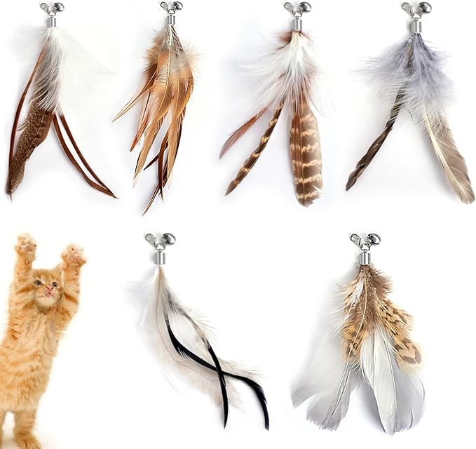 Cat Feather Toys Refills Cat Wand Replacement Feathers 6 PCS Handmade Cat Toy Feather Refills for Cat Wand Attachments Interactive Feather Cat Toy for Indoor Cats-Mewly Pet