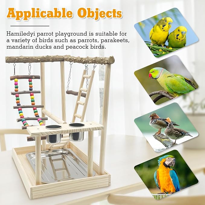 Hamiledyi Bird Playground Parrots Wood Perch Stand Cockatiel Playground Bird Play Gym Colours Climb Ladders Swing Chewing Toys with Parakeet Feeding Cups Exercise Activity Center for Lovebirds Conure-Mewly Pet