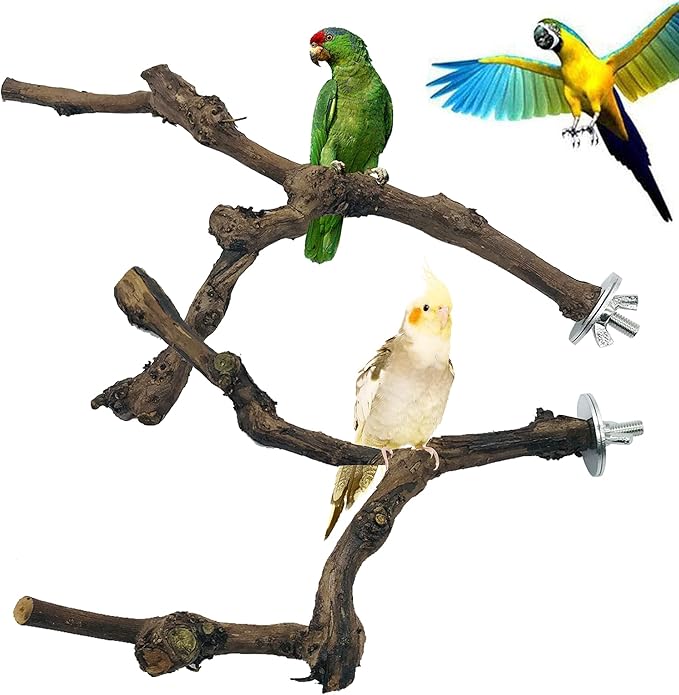 Allazone 4-Piece Bird Perch - Natural Grapevine Stick Swing Chewing Toys for Parrot Cages, Cockatiels, Parakeets, Finches-Mewly Pet