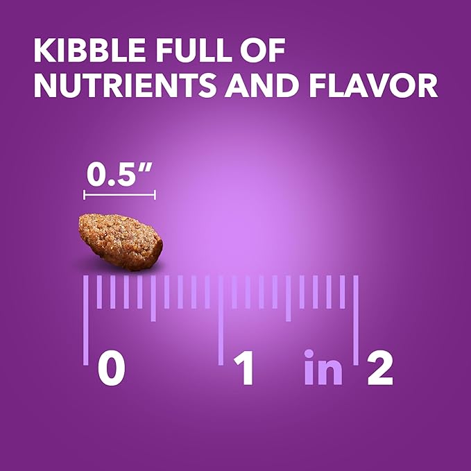 IAMS Advanced Health Skin & Coat Adult Dry Dog Food Chicken and Salmon Recipe, 36 lb. Bag-Mewly Pet