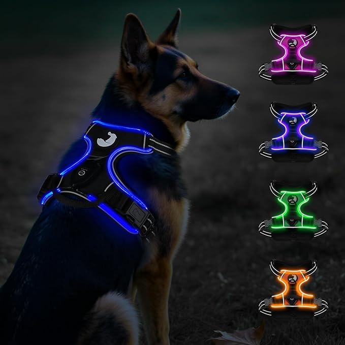 Taglory Light Up Dog Harness, Rechargeable No Pull Dog Vest with 3 Lightning Modes, Reflective Dog Harness with 2 Leash Clips & 4 Adjustable Slide Strips for Large Dogs, Black-Blue, XL-Mewly Pet