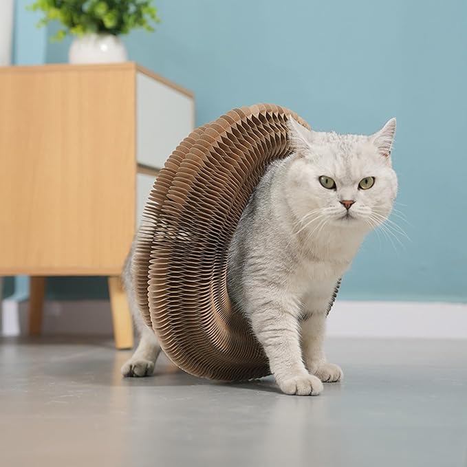 Kitty Curls Cat Toy Kurlz, Interactive Scratch Pad, Foldable Accordion,Cat Recyclable Scratcher with Ball (Pink)-Mewly Pet