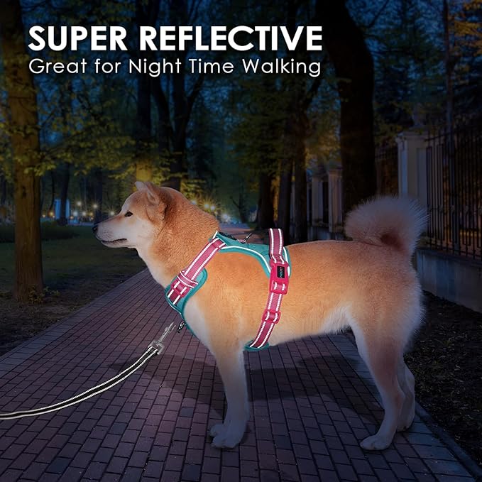 PHOEPET No Pull Dog Harness, Unique Colors Reflective Adjustable Dog Vest, with Soft Training Handle Metal Clips for Small Medium Large Dogs (Mint Green Base & Pink Straps,S)-Mewly Pet