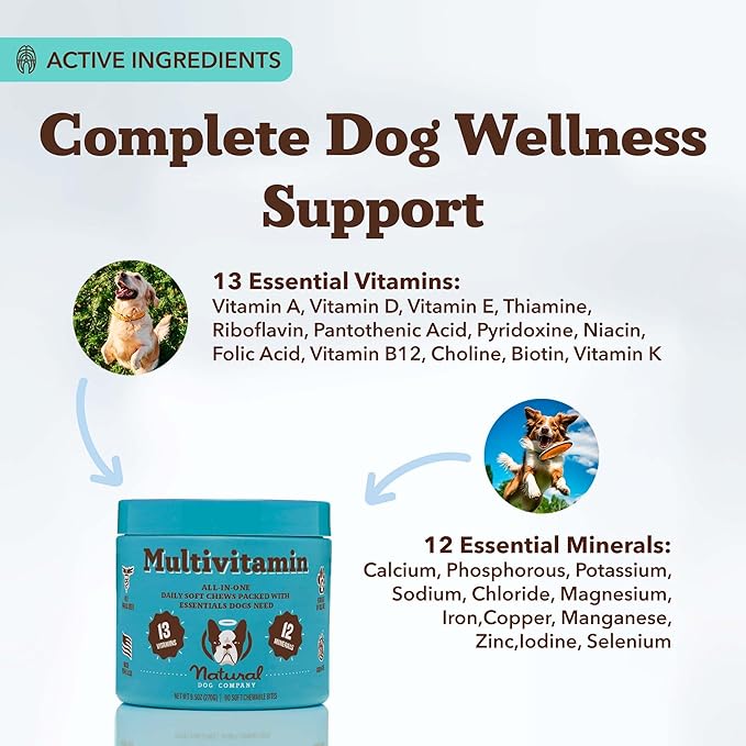 Natural Dog Company 25 in 1 Multivitamin Chews (180 Pcs) Dog Vitamins & Supplements, Peanut Butter & Bacon Flavor, Dogs, Supports Immune System, Antioxidant, Vitaminas para Perros, Multi Dog Families-Mewly Pet