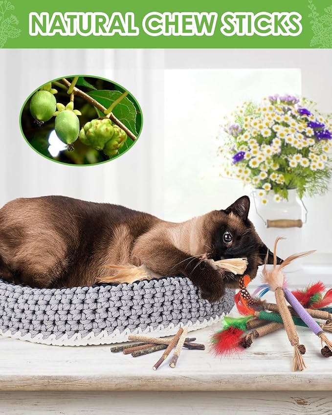TINDTOP Silvervine Chew Sticks for Cats, 12 Pack Natural Catnip Chew Toys for Kittens Teeth Cleaning, Matatabi Dental Care, Increase Appetite Cat Dental Toy-Mewly Pet