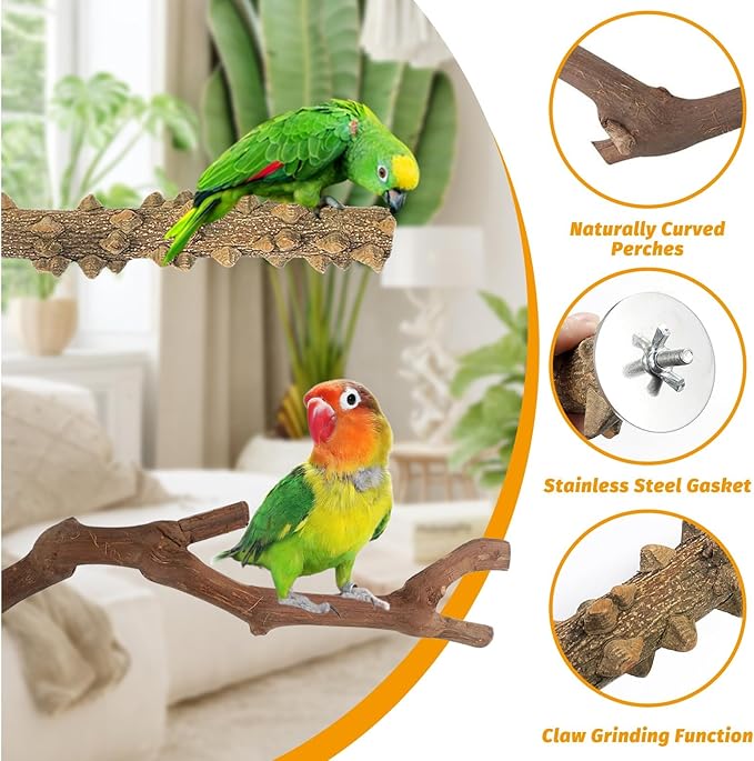 kathson 5pcs Natural Parrot Perch for Cage Wooden Bird Perches Grape Bird Stick Parakeet Climbing Standing Branches Toy Chewable Cage Accessories for Small Budgies Cockatiels Lovebirds Budgies-Mewly Pet
