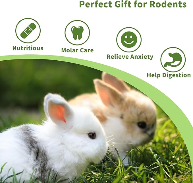 Fhiny Rabbit Chew Toys, 6 PCS 3.9" Natural Papaya Wood Chew Sticks Guinea Pig Treats for Dental Care Bunny Treats for Rabbits Small Pet Molar Snacks for Bunny Guinea Pig Chinchilla Hamster Gerbil-Mewly Pet