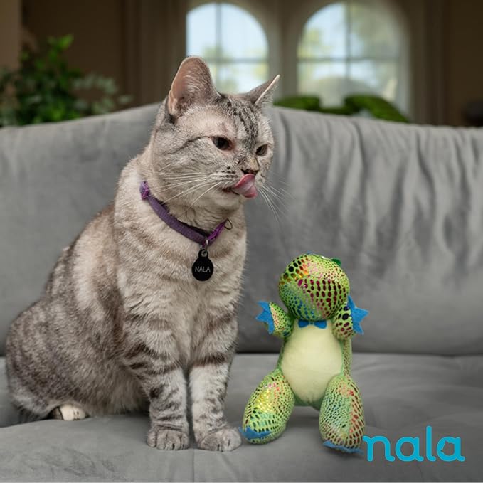 Caitec Presents Nala Cat Tucker The T-Rex Dino - Catnip Toy - Interactive Cat Toy - Chew Toy - Pillow Toy, 2 Pack-Mewly Pet
