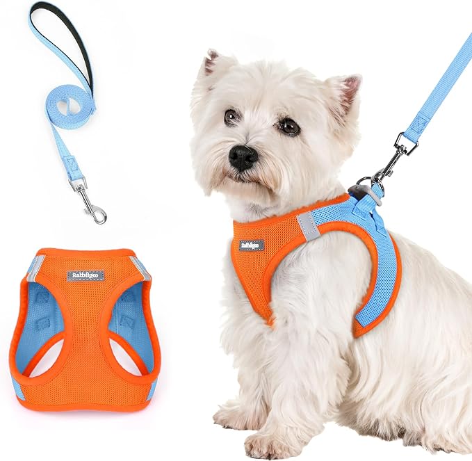 rabbitgoo Dog Harness Small Sized and Leash Set, Step in Soft Light Puppy Vest, Breathable Mesh Pet Harness, Reflective for Safe Easy Walking, Blue & Orange S-Mewly Pet