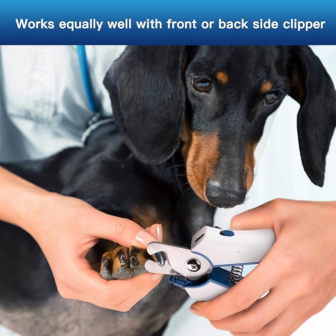 Type-C Rechargeable Dog & Cat Nail Clippers - LED Pet Nail Trimmer with Built-in Nail File, Extra Sharp Blades for Small & Medium Dogs, Indoor Cats (Blue)-Mewly Pet