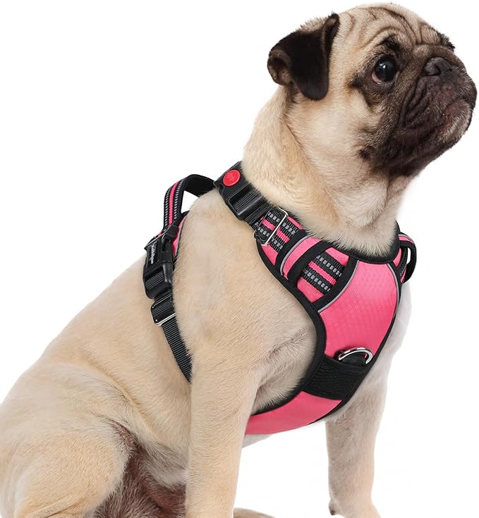 rabbitgoo Dog Harness Small Sized, No Pull Dog Vest with 3 Buckles, Adjustable Soft Padded Pet Harness with Easy Control Handle and Reflective Strips, Pink, S-Mewly Pet