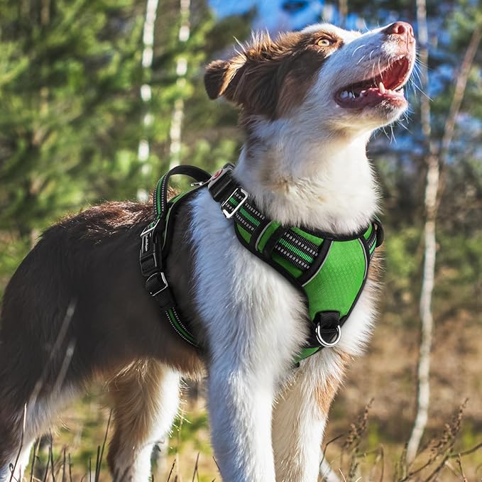 rabbitgoo Dog Harness Medium Sized, No Pull Dog Vest with 3 Buckles, Adjustable Soft Padded Pet Harness with Easy Control Handle and Reflective Strips, Green, M-Mewly Pet