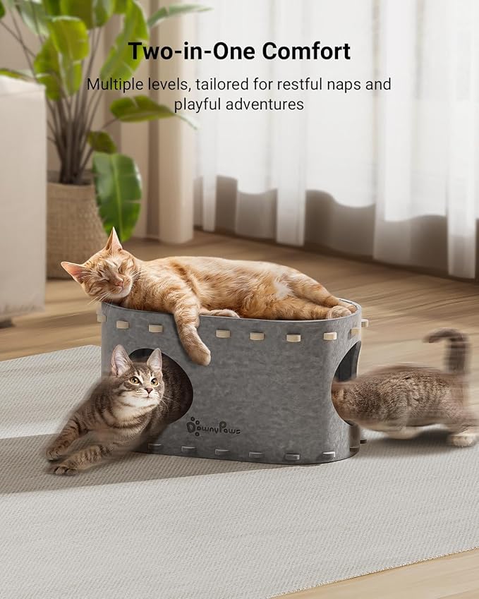 DownyPaws Cat House for Indoor Cats, Cat Bed Cave for Multiple & Large Cats Up to 22 Lbs, Scratch Resistant, Foldable Peekaboo Kitten Caves Tunnel Enclosed Bed, PeekaPurr, Light Gray-Mewly Pet