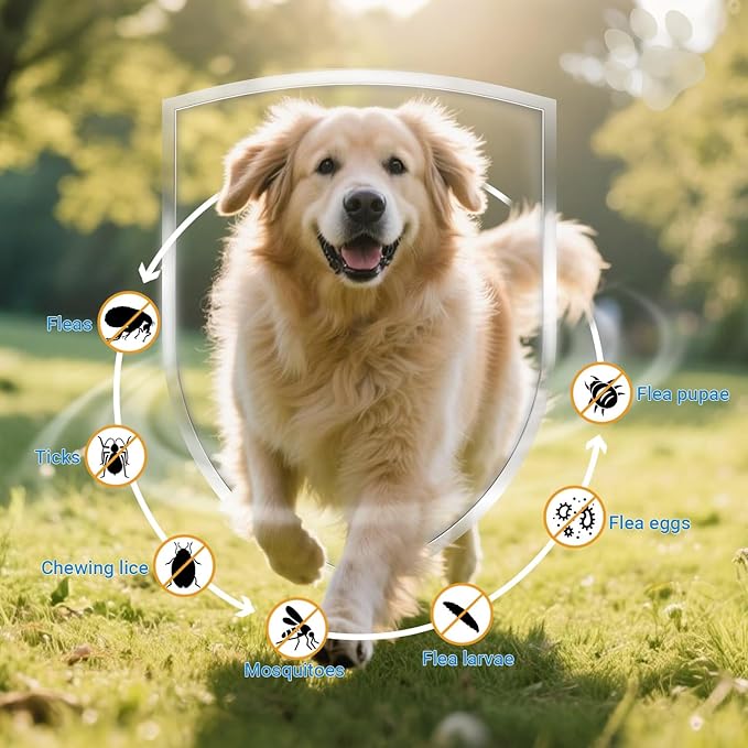 Flea and Tick Prevention for Dogs, 180 Soft Chews Natural Dog Flea and Tick Chewables Oral Flea Supplement for Dogs, Puppy Flea Support - All Breeds & Ages - Chicken Flavor-Mewly Pet