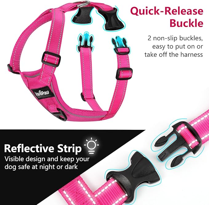 Dog Seat Belt Harness for Car, Dog Car Harness Adjustable Mesh Breathable & Dogs Seatbelt Safety Tether with Elastic Bungee for Small Medium Large Pets(Rose, S)-Mewly Pet