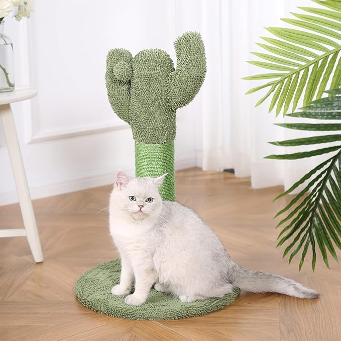 Amazon Basics Cat Scratcher - Indoor Cactus Single Cat & Kittens Scratching Post with Dangling Ball, Medium (25.6"H) - Green-Mewly Pet