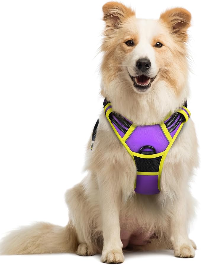 rabbitgoo Dog Harness No Pull with 2 Leash Clips, Adjustable Soft Padded, Reflective Oxford No Choke Pet Vest with Easy Control Handle for Medium Sized Dogs, Purple & Yellow, M-Mewly Pet