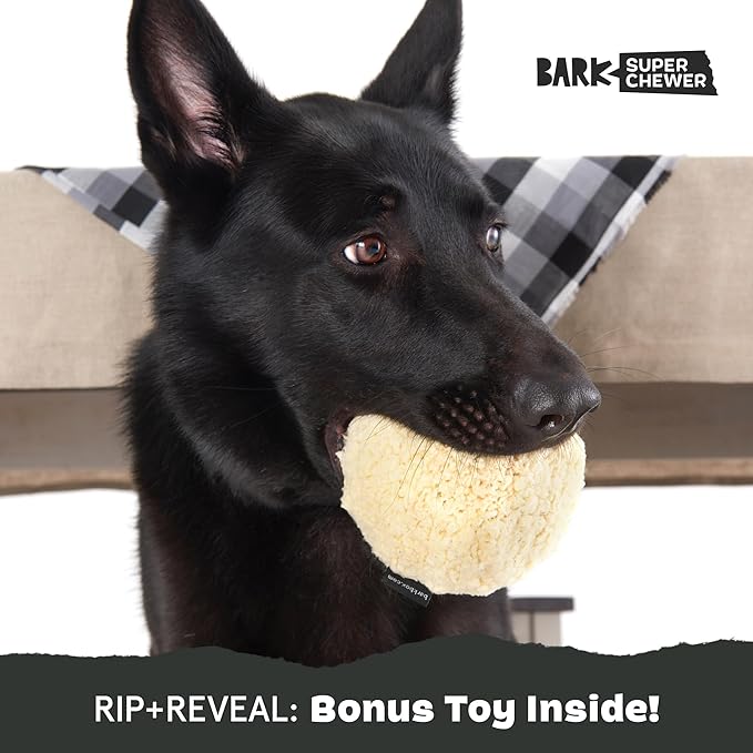 Barkbox Potato 2-in-1 Dog Toy - Tough Plush Squeaky Chew Toy for Large Dogs | Large-Mewly Pet