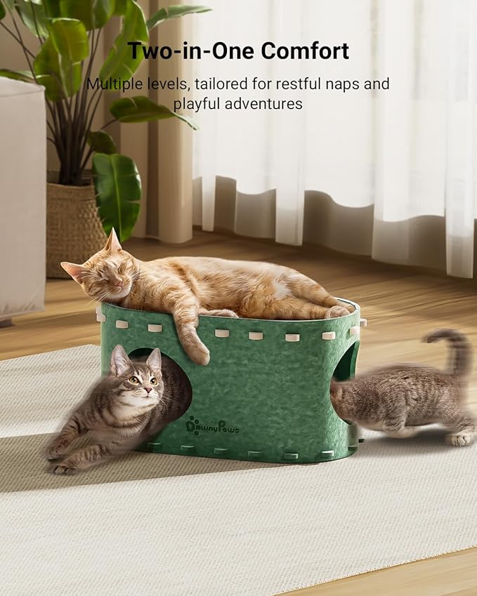 DownyPaws Cat House for Indoor Cats, Cat Bed Cave for Multiple & Large Cats Up to 22 Lbs, Scratch Resistant Peekaboo Cat Caves, Foldable Tunnel Enclosed Bed, PeekaPurr, Forest-Mewly Pet