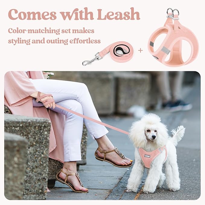 rabbitgoo Dog Harness Small Medium Sized and Leash Set, Step in Soft Light Puppy Vest, Breathable Mesh Pet Harness, Reflective for Safe Outdoor Walking, Pink L-Mewly Pet