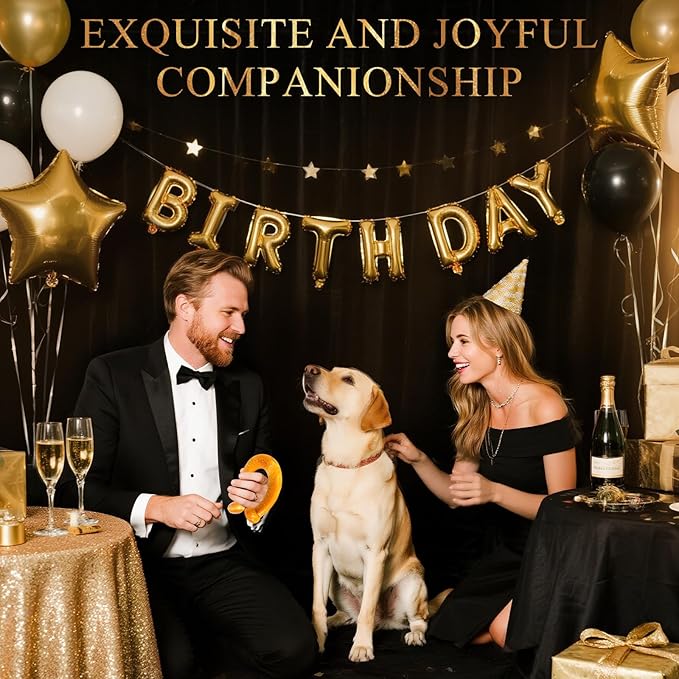 6 Pack Indestructible Dog Toys for Aggressive Chewers, Durable Nylon Bone for Large Dogs, Dog Toy for Aggressive Chewer Large Breed, A Mixed Special Edition Set-Mewly Pet